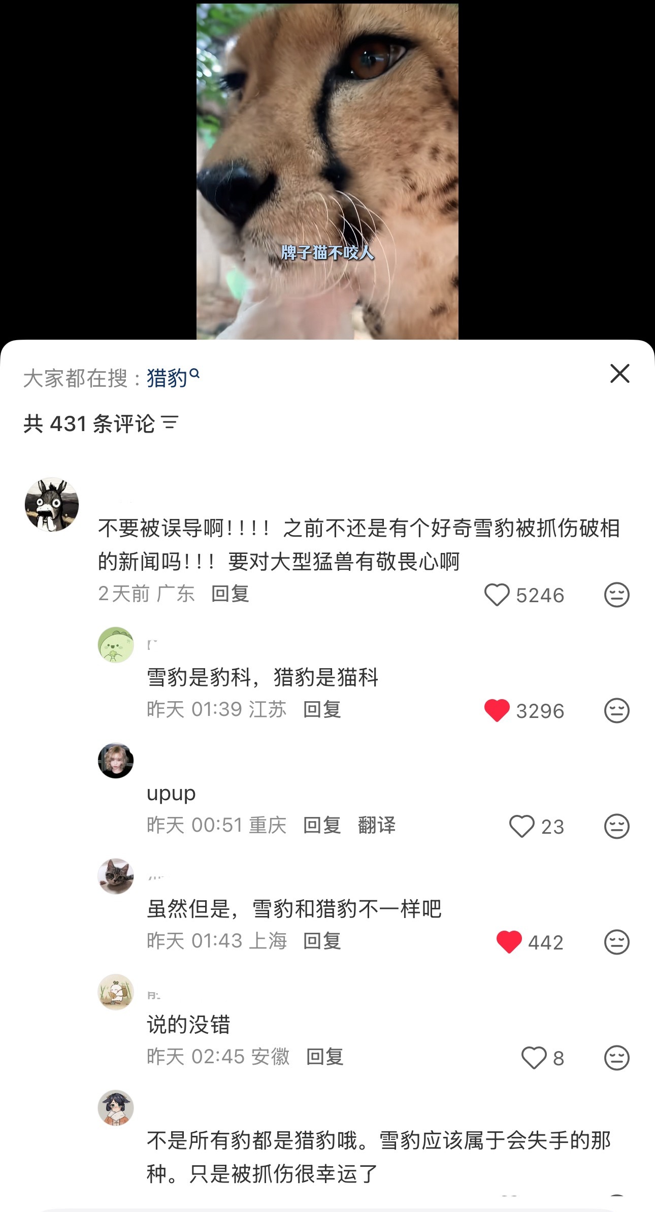 大众所知的知识 而🫏毛就是睁不开👀建议🫏棚平时少刷点rz视频多看点有营养的