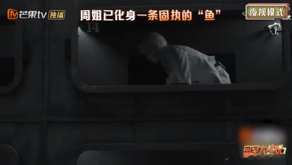 周笔畅再爬就要回北京了 笔笔这灵活劲儿绝了！密逃储藏格空间里，她上蹿下跳，身姿轻