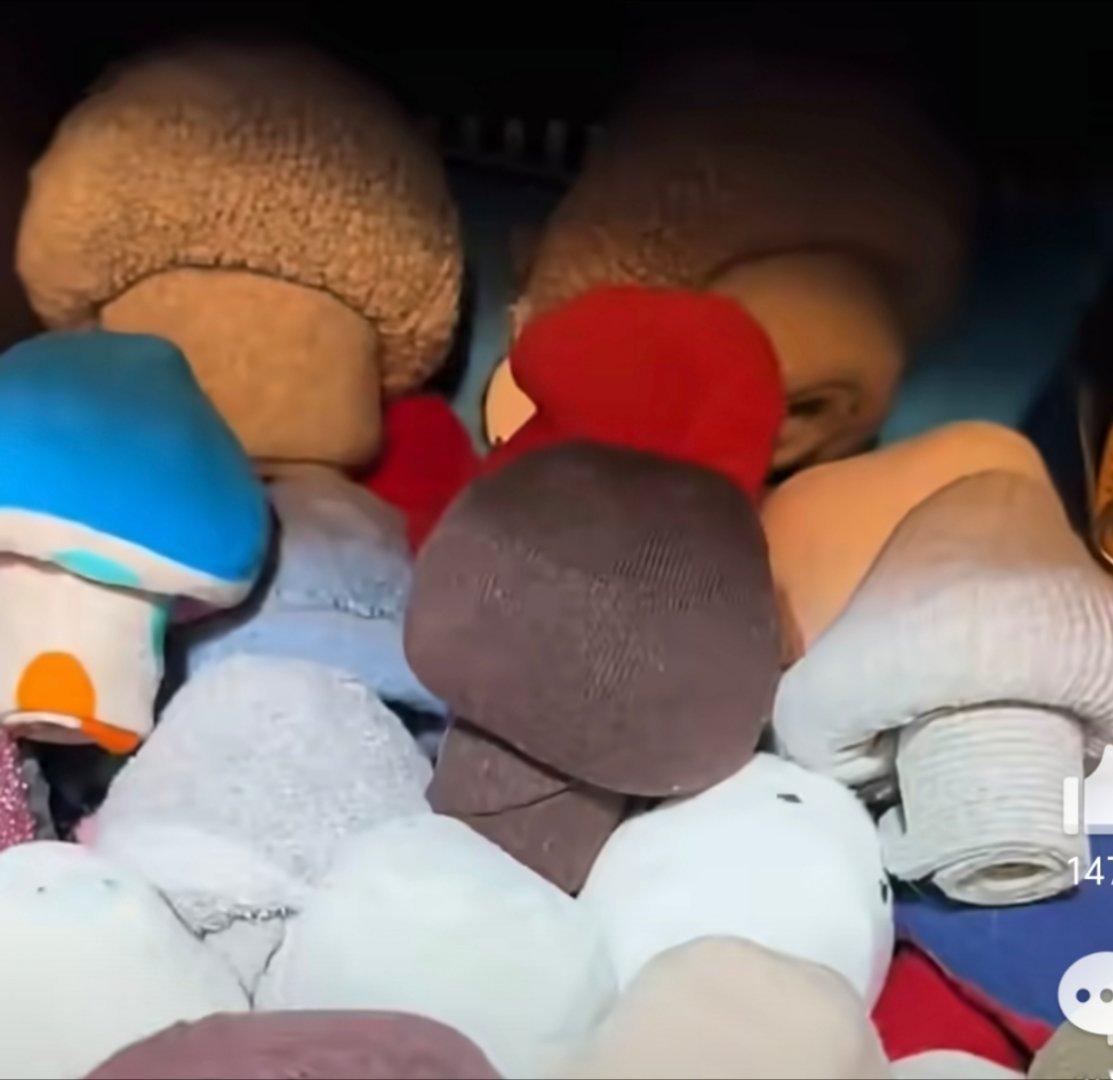 好有创意哈哈哈蘑菇🍄是真菌类 