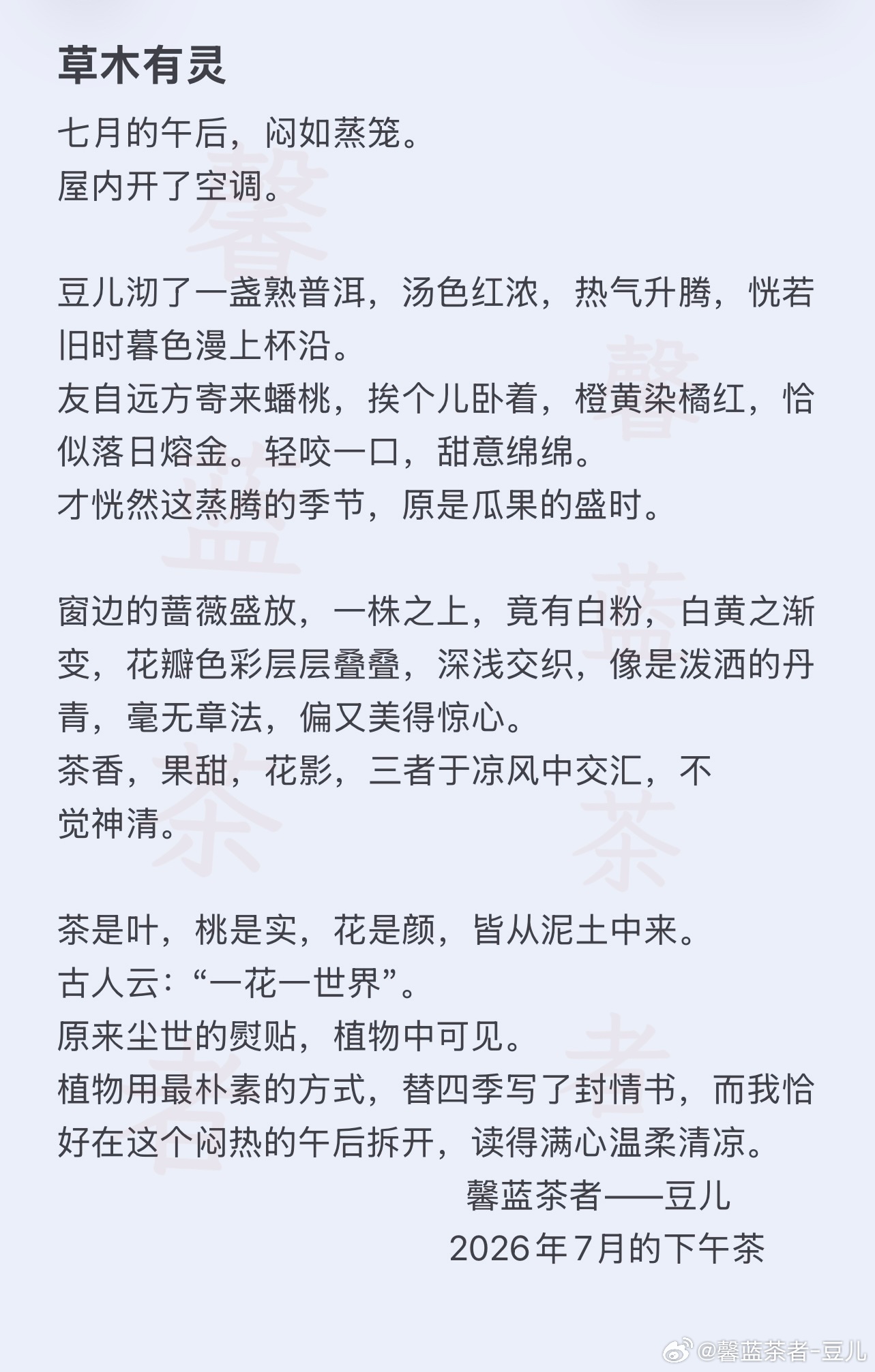 七月的下午茶时光，草木有灵。茶香，果甜，花影。馨蓝茶者日常生活感悟我的日常plo
