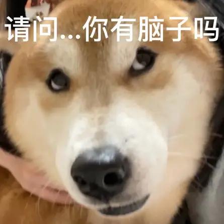 暴走团被喷水是娱乐还是整治