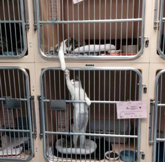 惺惺相惜的住院部上下铺