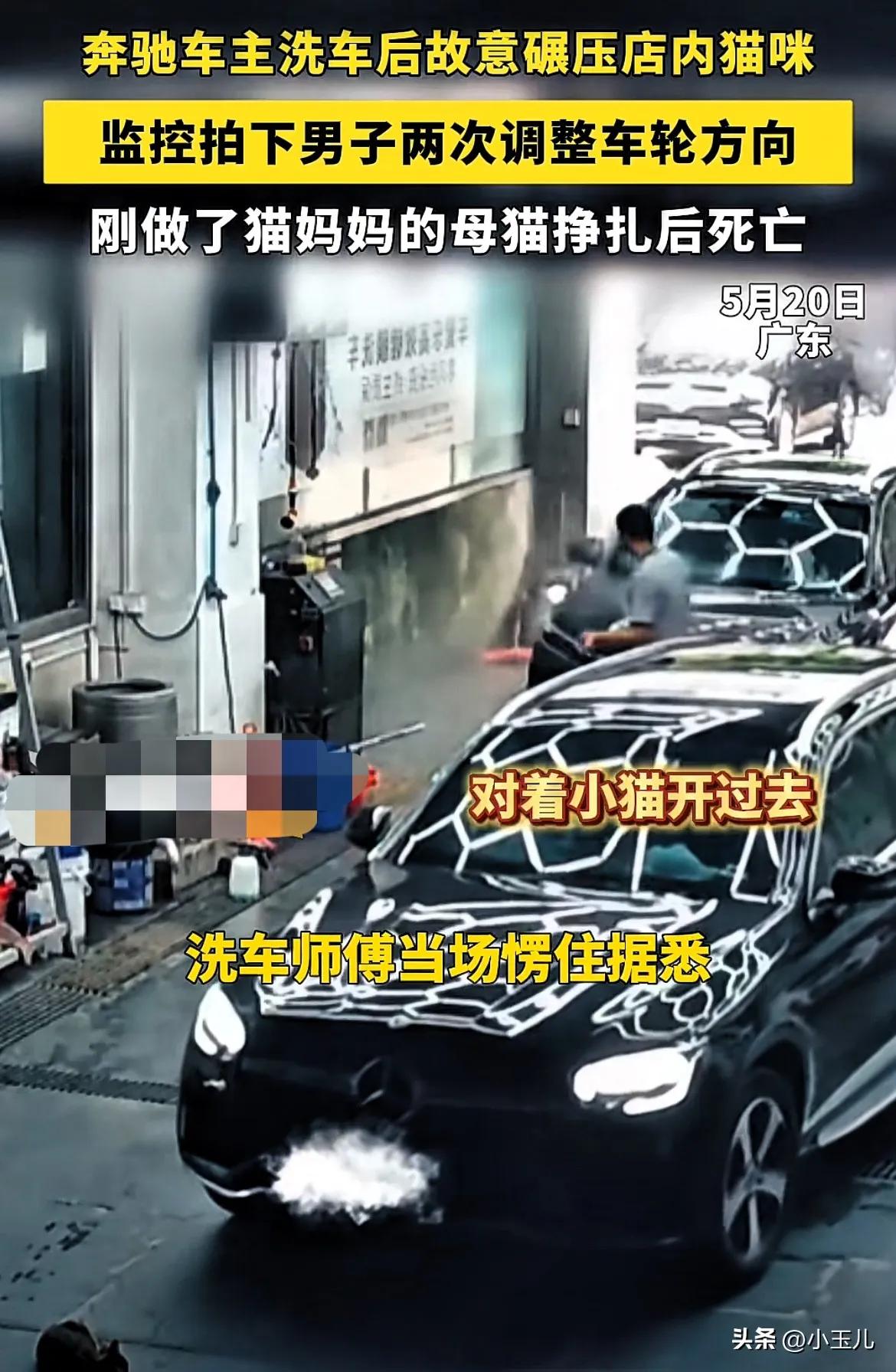 广东一奔驰车主故意压死小猫，引发网友愤怒。 这辆奔驰车主，真的是狠心至极，居然故