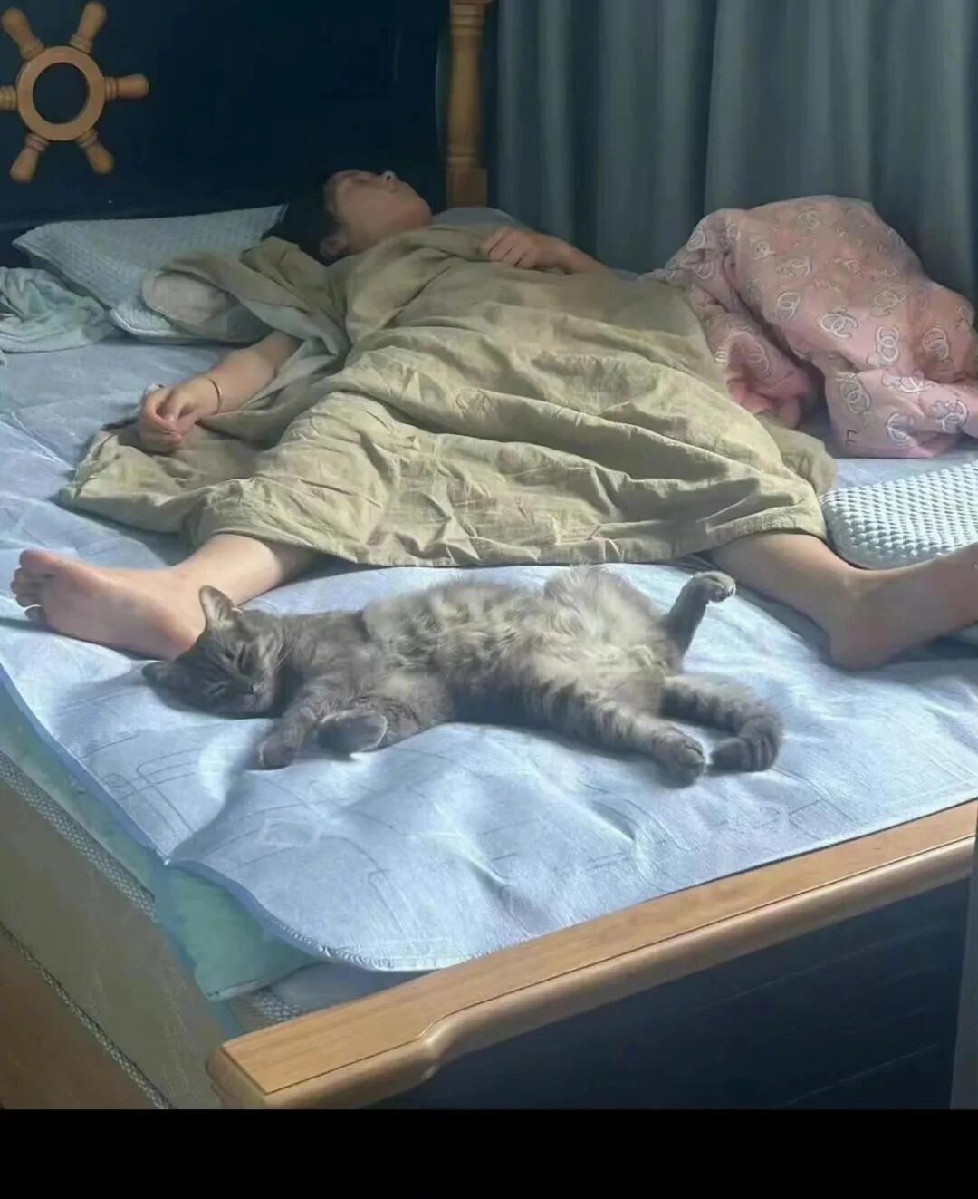 果然一个被窝睡不出两种人 ！！！ 