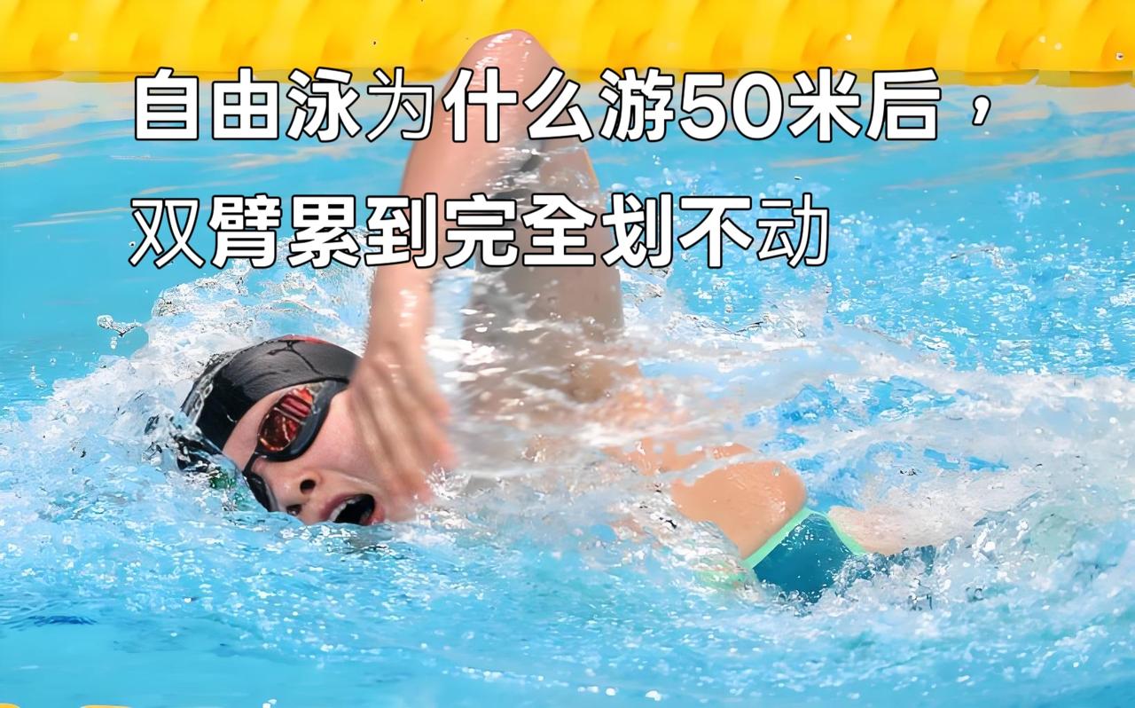 泳教头 | 泳讲堂：自由泳为什么游50米后，双臂累到完全划不动
 
很多泳友短距