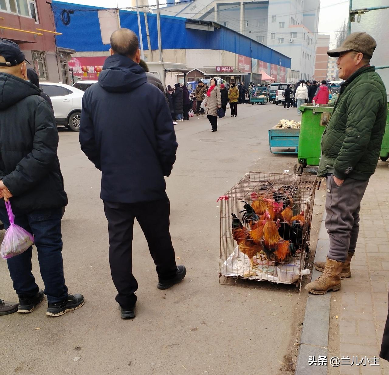 但是我们的水果卖的一般，待到下午两点，我就回来了。回家做饭，准备过节。
