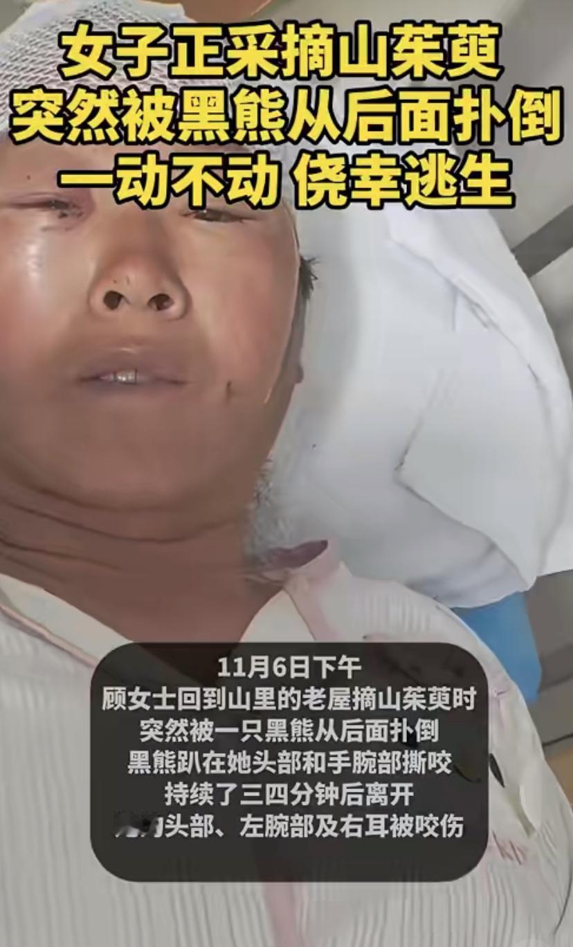 真·死里逃生!西安一位女士在山里干活时，突然被黑熊扑倒。千钧一发之际，她选择了最