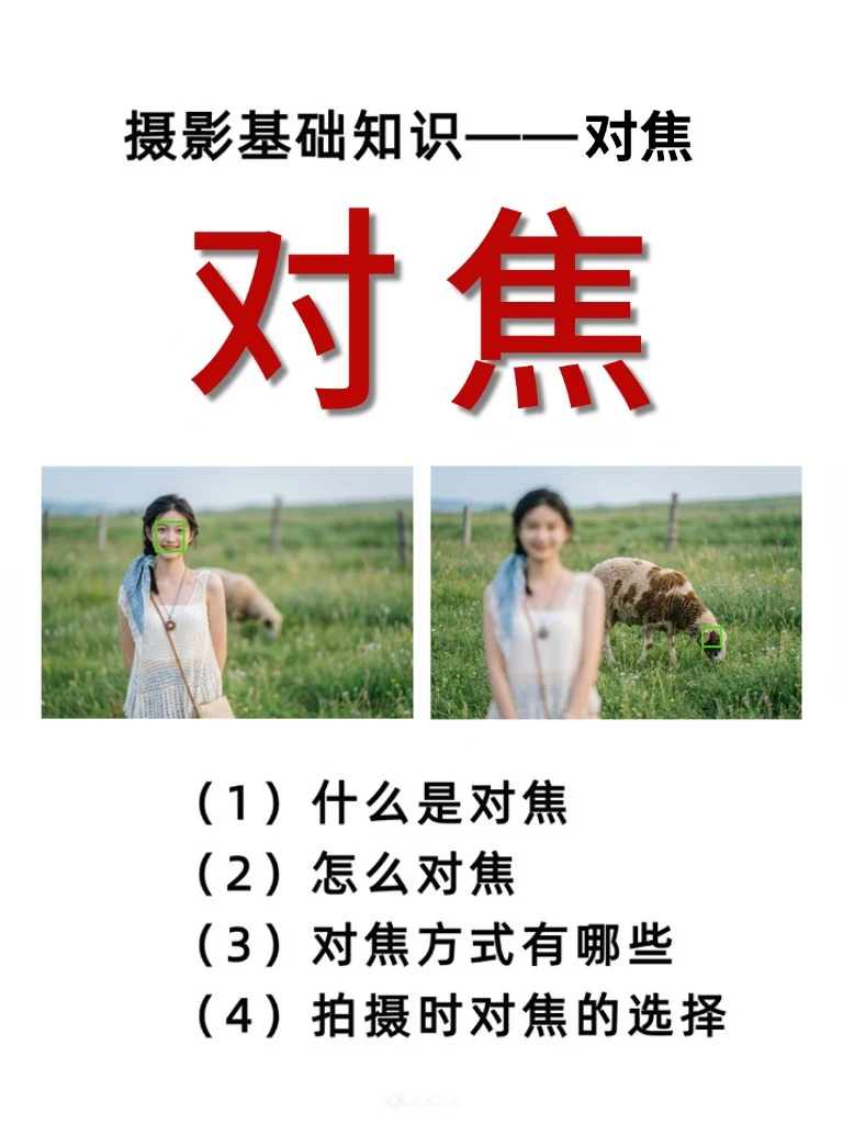当我学会了对焦