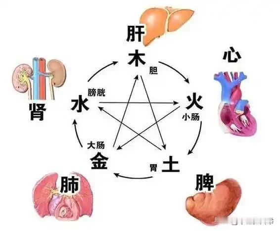 五脏好不好，看看五液就知道了
心脏看汗液
中医说汗为心之液，出汗太多、总是大汗淋