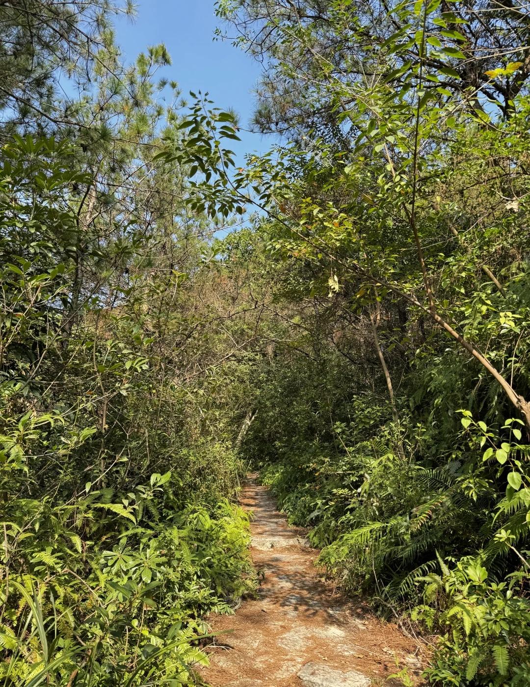 厦门徒步 | 绝美蔡尖尾山小环线⛰️
绝了❗️❗️趁着天气好赶紧出发叭家人们🤩