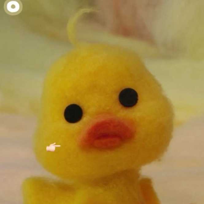 好呆鸭👉🏻 