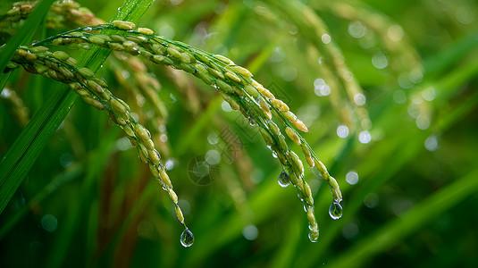 就像弹簧压得越低，弹起时越有爆发力。那些能出头的人，都懂在低谷时沉住气，在高位时