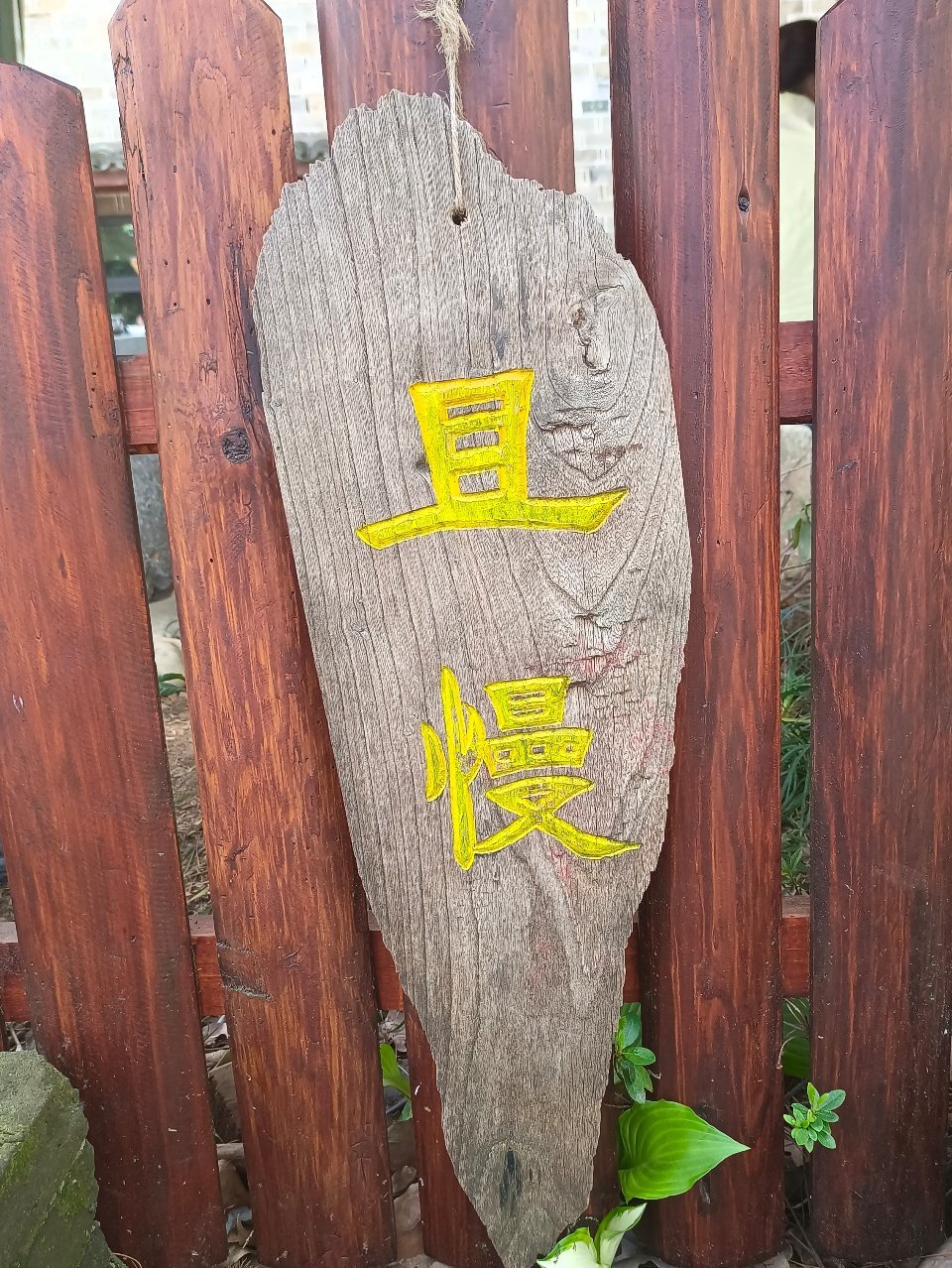 仪日分享 很久没发了，但今天有好事发生