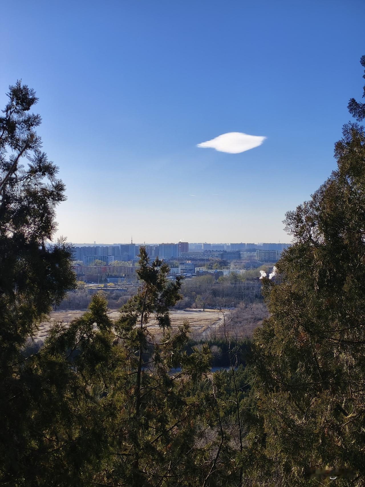 冬日生活打卡季今日爬昌平北山，到了打卡地后，抬头望向天空，惊现两朵美丽白云，看着