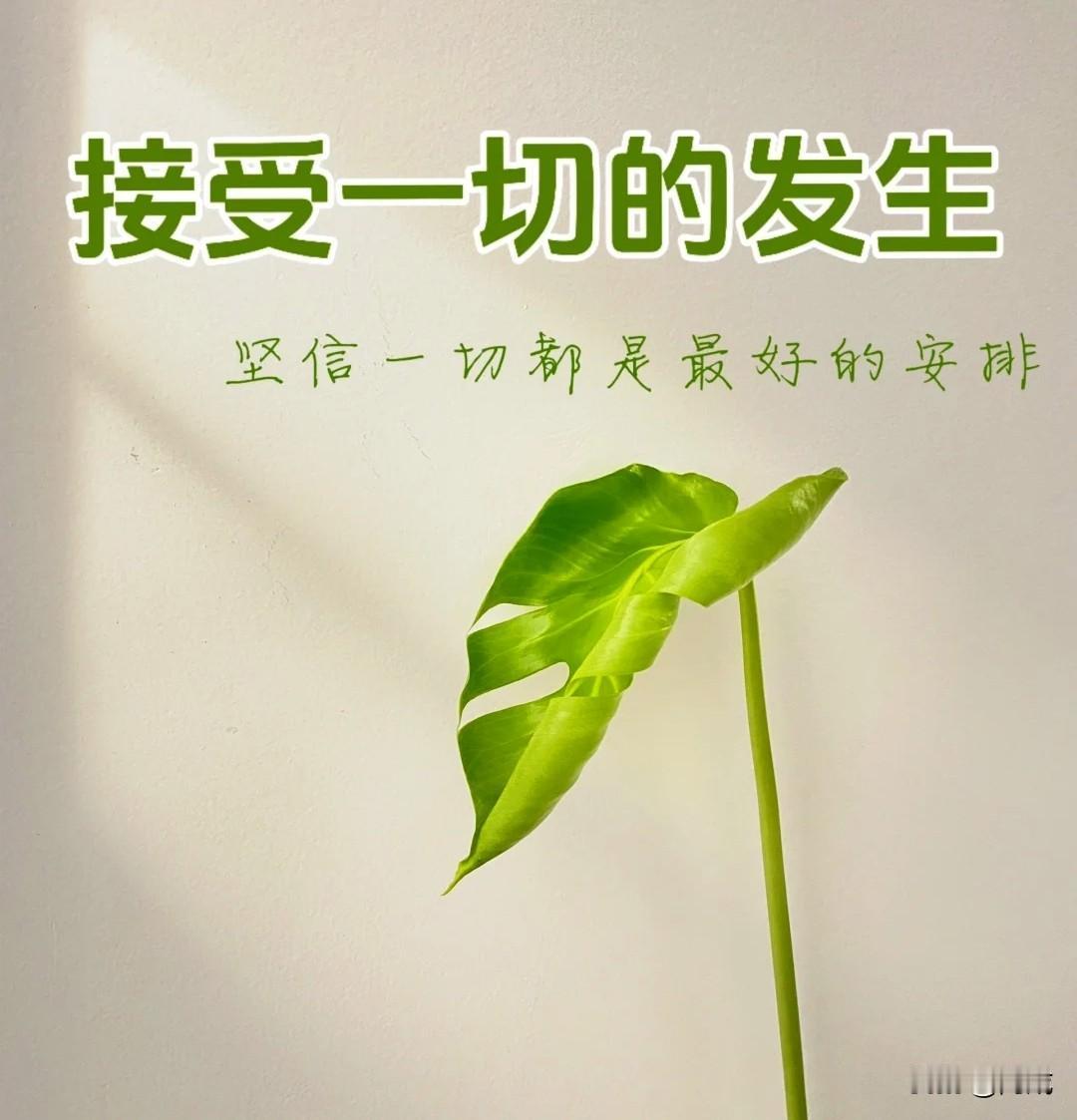 人生翻篇，一切重新启程。新工作、新同事、新节奏，都在慢慢适应。
 
好的一面很实