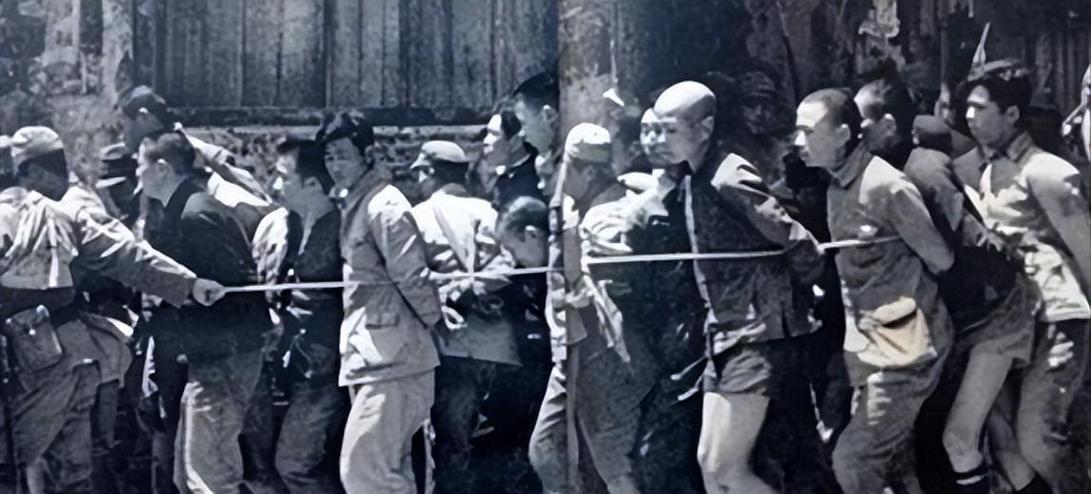 1937年秋天，山西天镇的老百姓做梦也没想到，自己会掉进人间地狱。院子里的猪狗竟