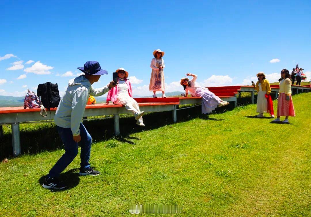 甘南玛曲夏日限定美景同城热点创作计划 盛夏赴黄河首曲之约，阿万仓湿地把高原最治愈