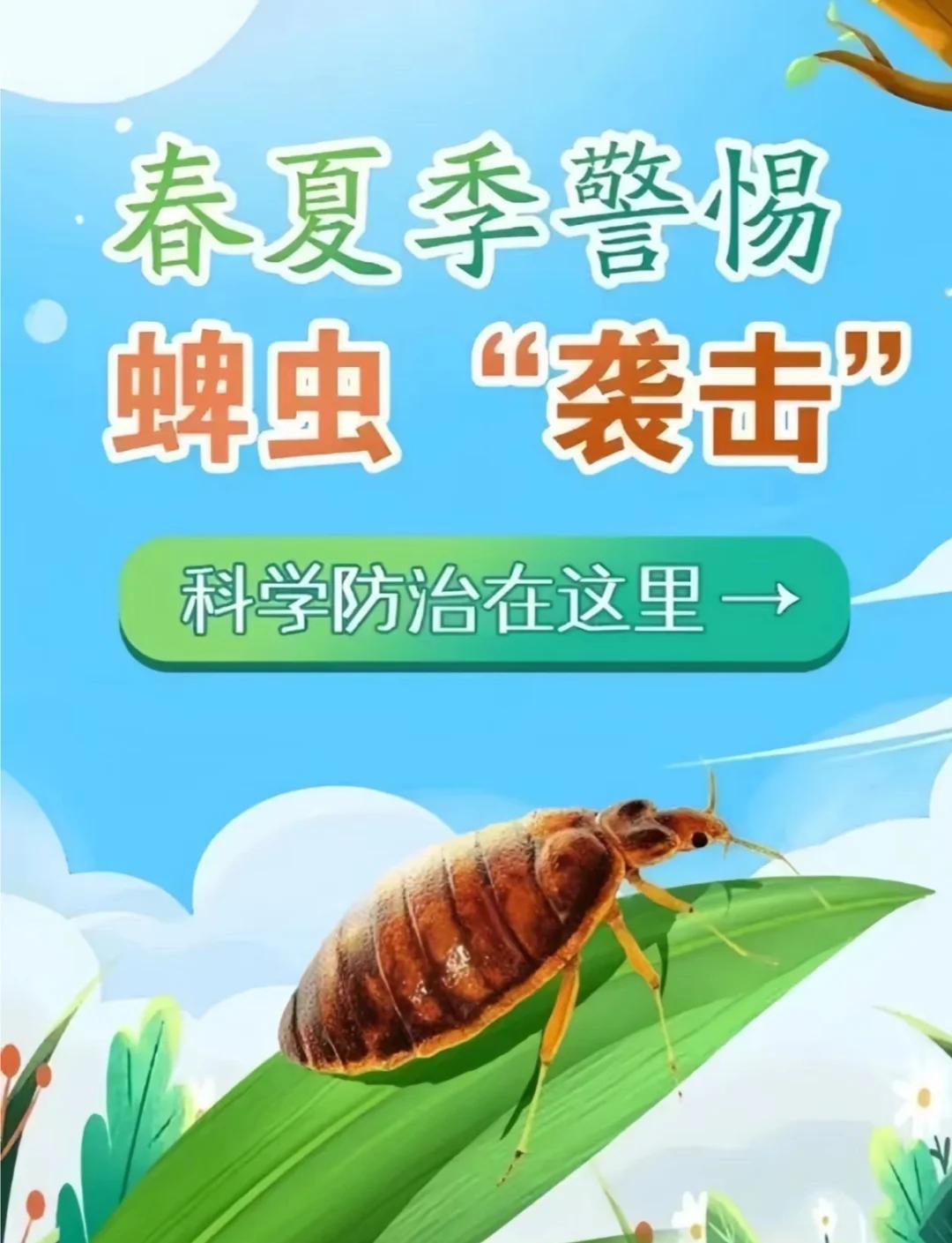 安徽一7旬老人身上，附着17只蜱虫！

近日，安徽医科大学第四附属医院收治了73