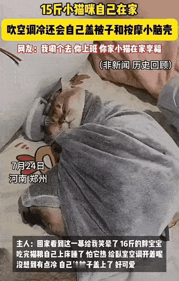 “成精了！”

一女子出门去上班，留15斤的猫咪在家，担心它热得慌，特意开上了空