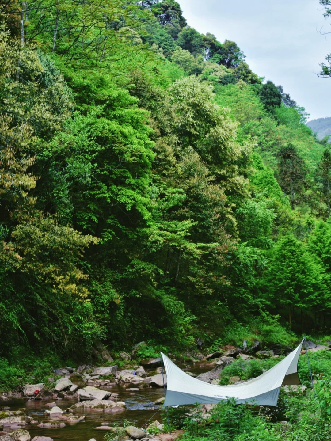 去撒野| 99%成都人不知道的露营玩水秘境