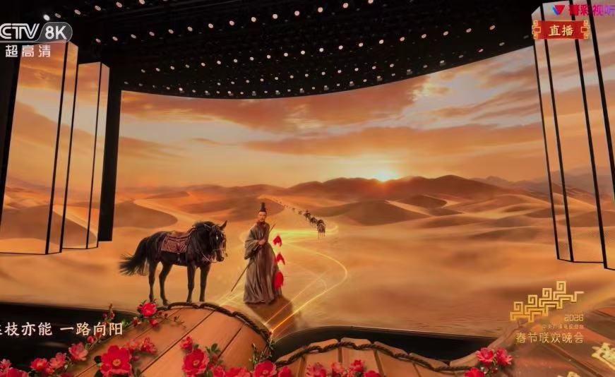 胡兵至今没发现长得高的坏处 总台春晚 《贺花神》胡兵饰六月石榴花代表张骞出塞，身