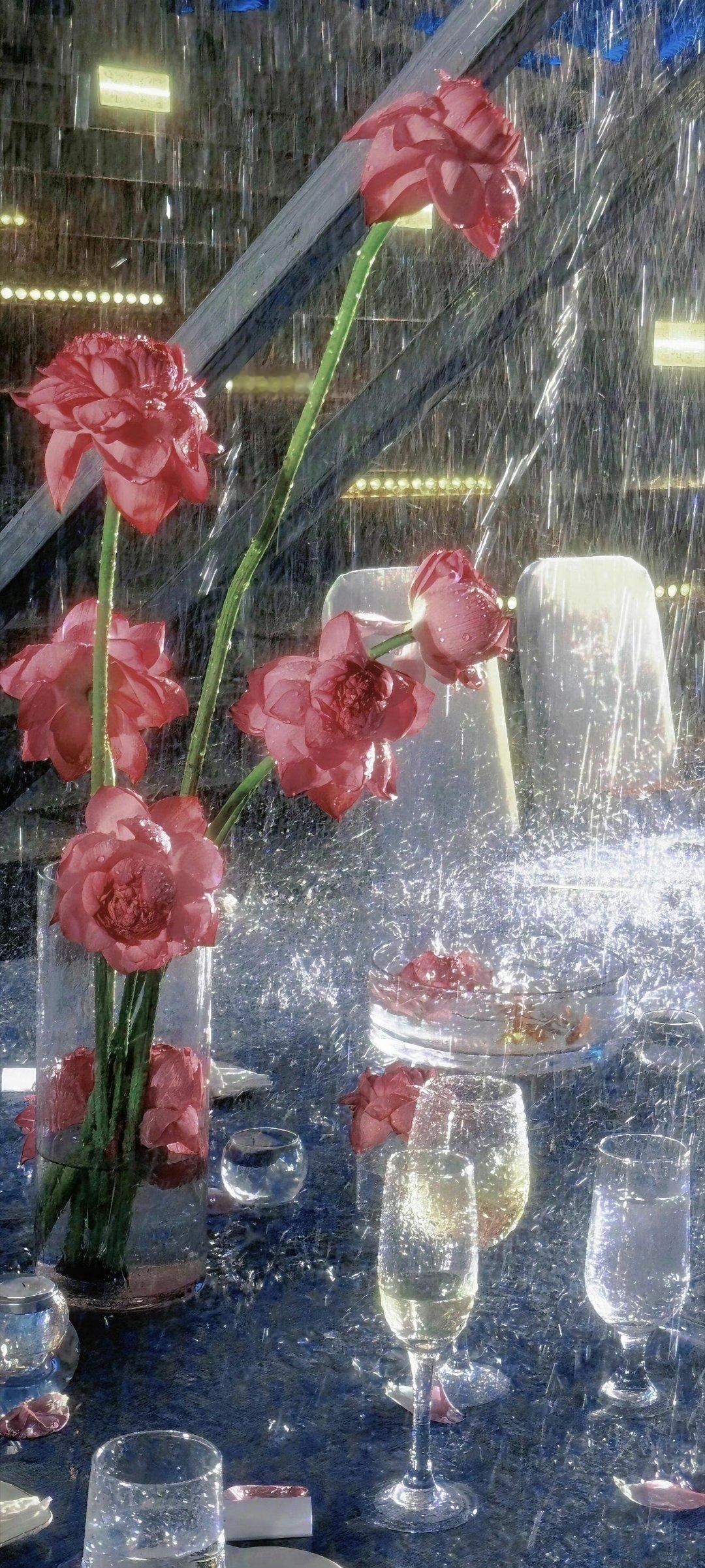 #刘诗诗拍的壁纸#刘诗诗拍的雨打荷花让我想起了那一天大雨中罚跪的若曦。诗诗姐好会