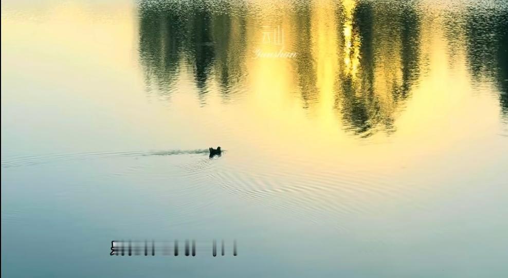 不要为打翻的牛奶而哭泣，也别为过去的事耿耿于怀，那不过是用往事惩罚当下的自己，时