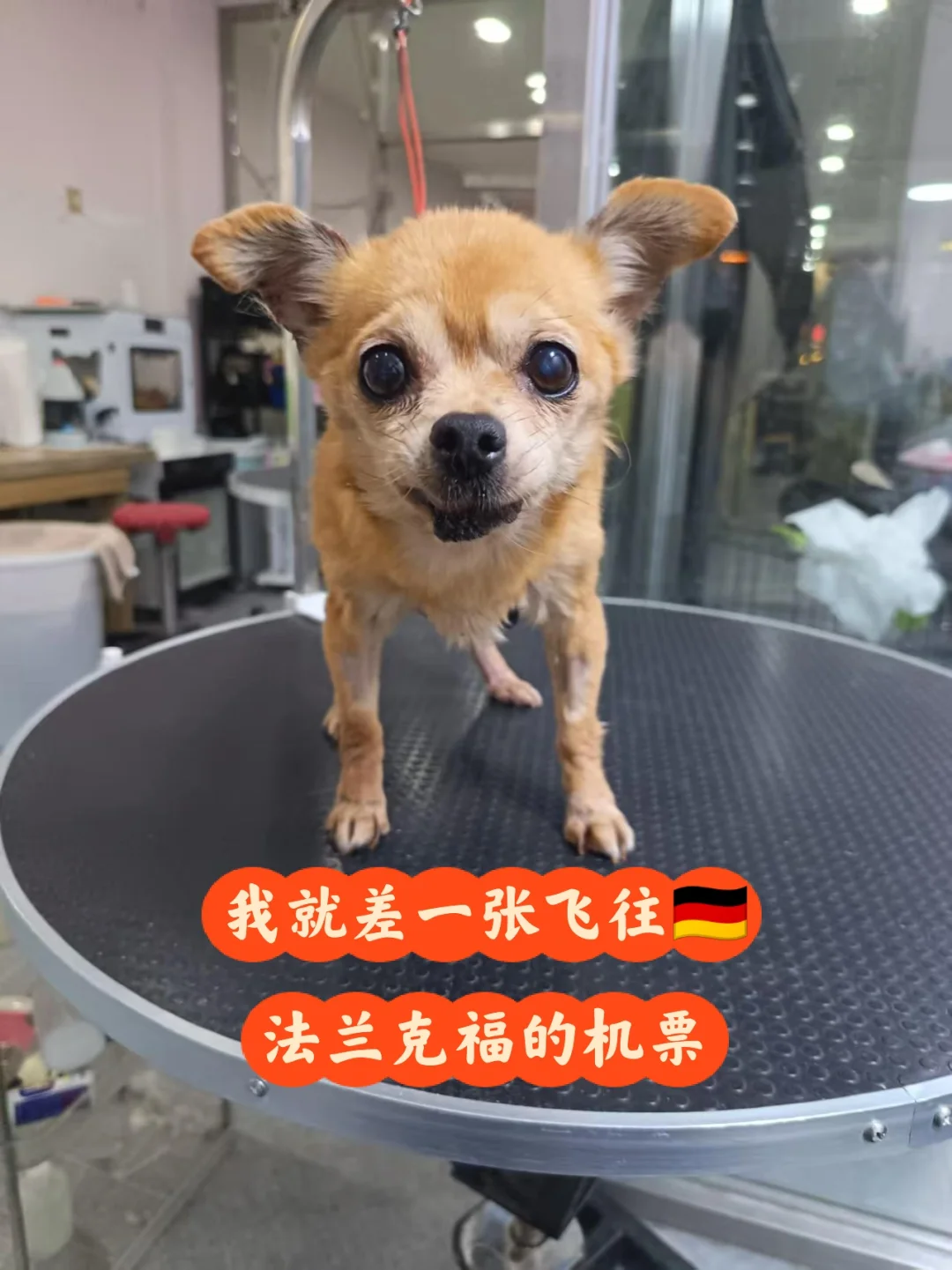 没想到十几岁还能找到家，你能带我去法兰吗