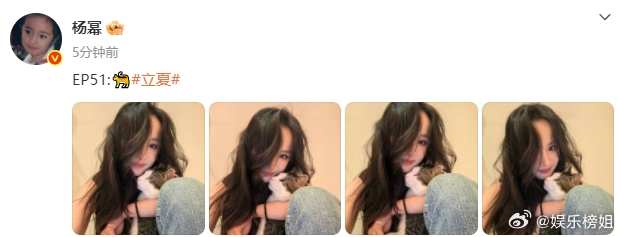 杨幂小猫贴贴好美的杨幂，好可爱的小猫咪，我也想抱抱贴贴[抱一抱][抱一抱]羡慕了