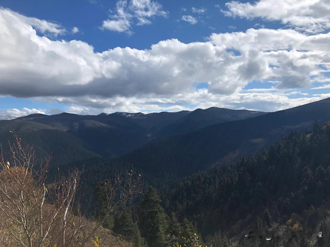 下午的澳超，目测阿德莱德联拉力大于胜利，但胜利有一定的拉力，平半低水早早升到半球