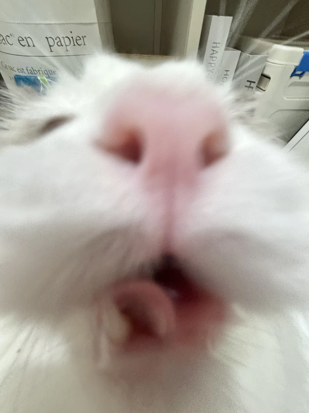 敢不敢猜猜是什么，猜对了替我上班