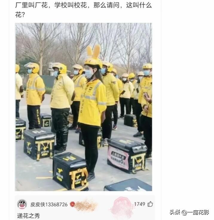 厂里有厂花 学校里有校花，送快递的花叫什么花？
爆笑[我想静静][我想静静][我