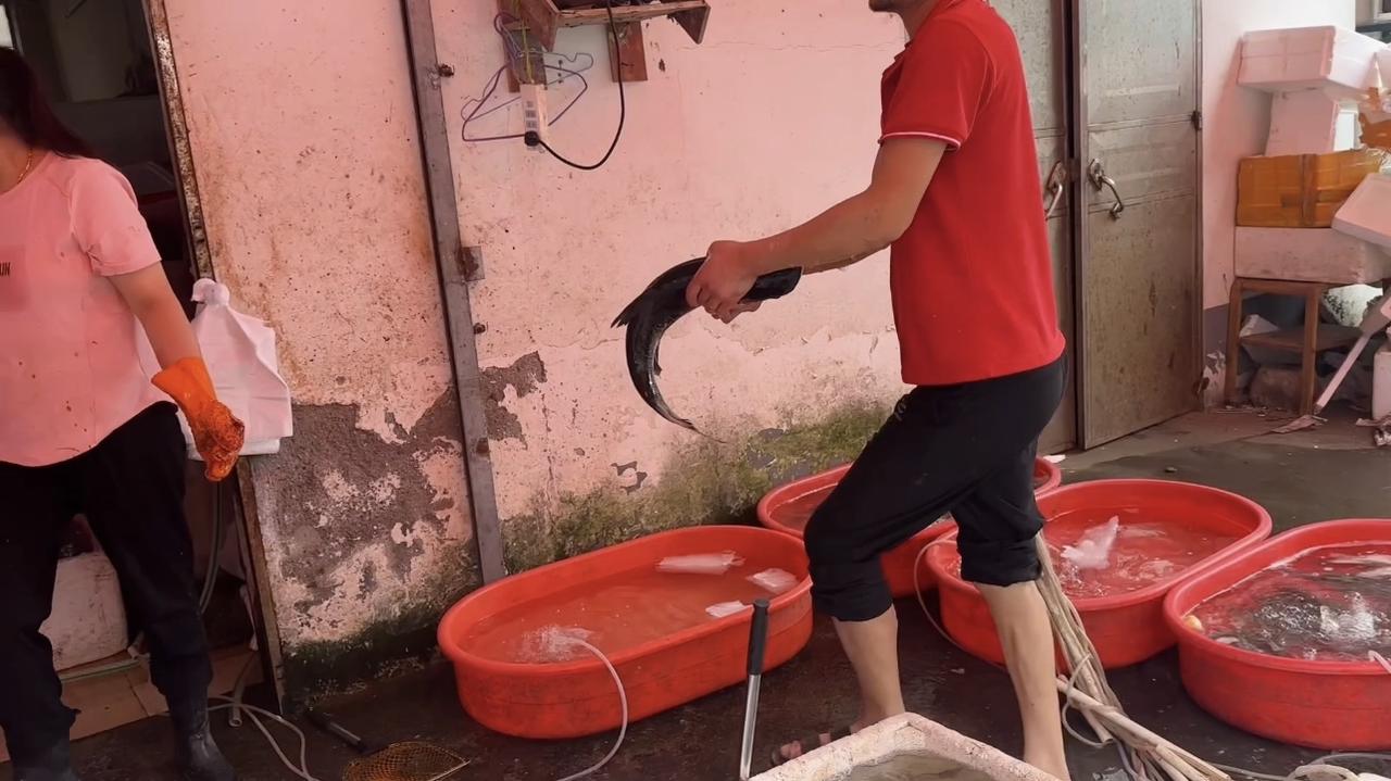 晚上17:30下班，路过常去的一家露天菜场，胖头鱼整条8块钱一斤，单切鱼头13一