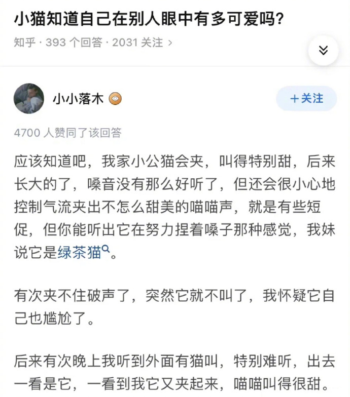 #小猫可以有多绿茶# 哈哈哈哈哈哈哈哈哈哈哈哈哈 ​​​