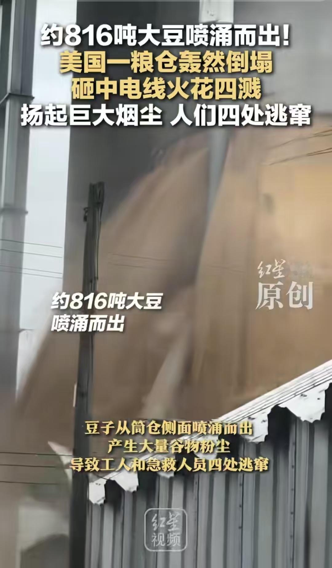 查了一下美国粮仓倒塌的事

真是不查不知道，一查吓一跳

没想到，816吨大豆说
