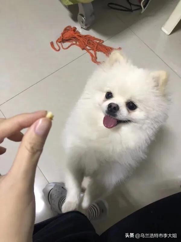 70年属狗的注意！清明一过，这三件好事跑不掉

1970年出生的老伙计们，听我一