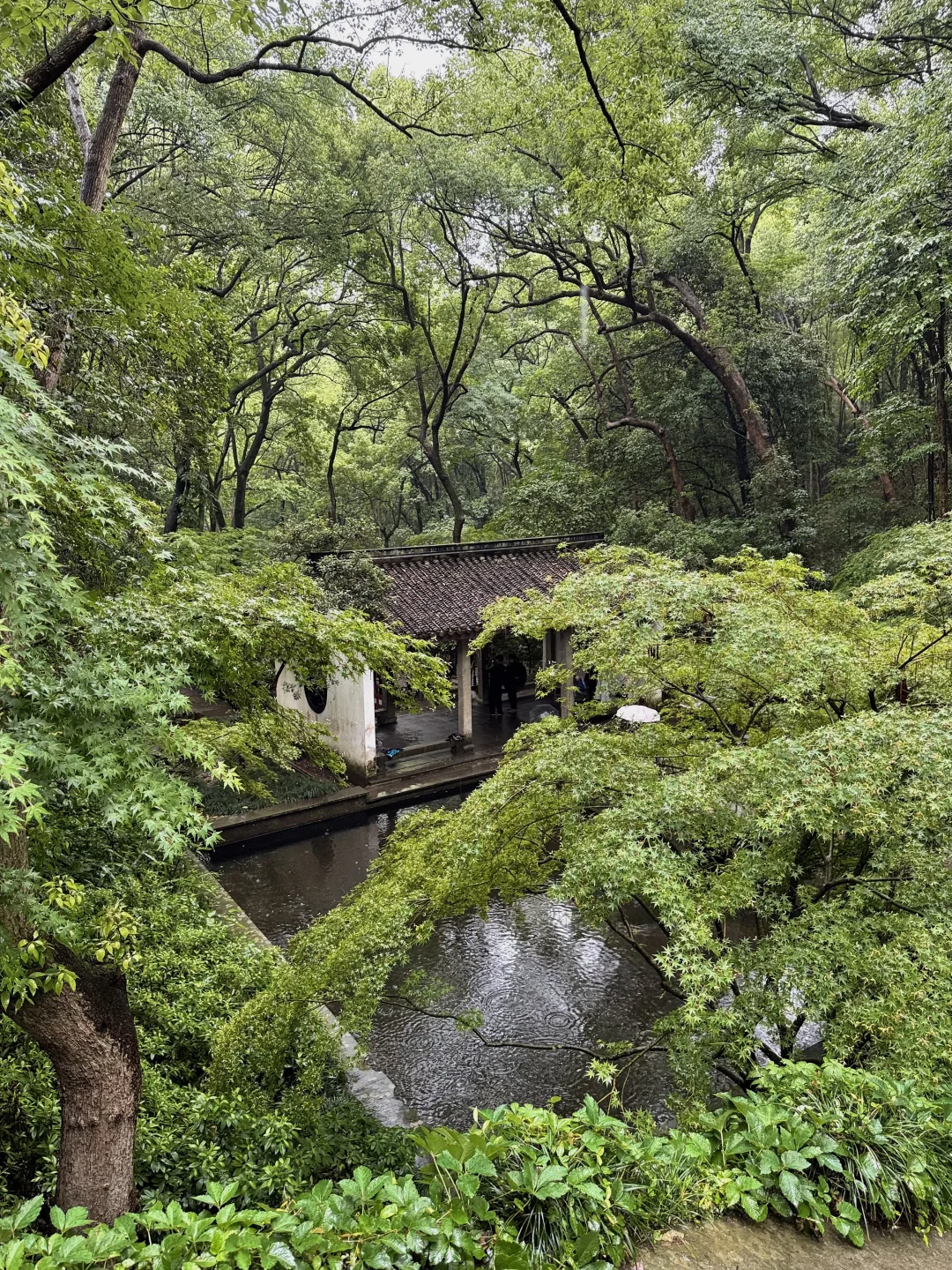 杭州不愧是一个喜木的城市🍃infj会懂的