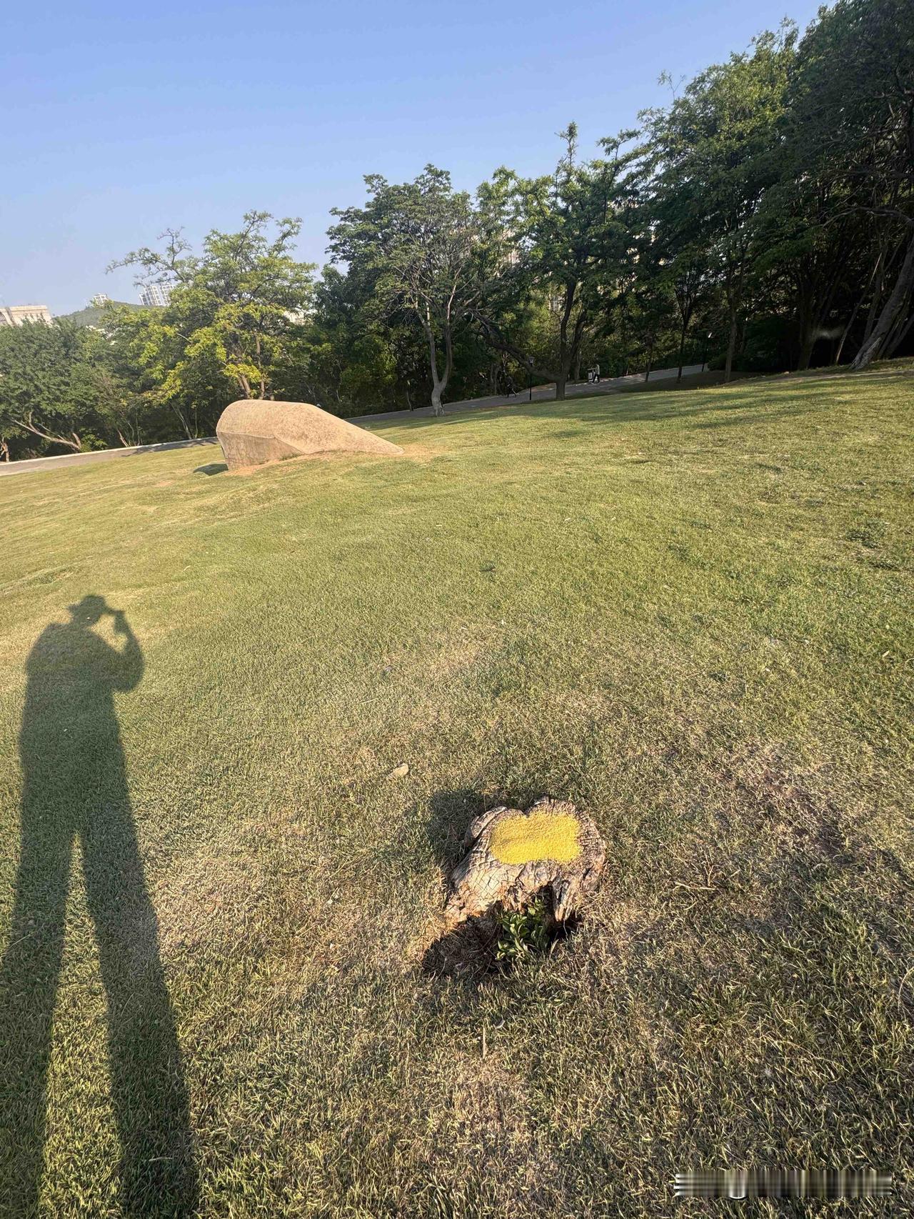 现在生活好了，人也越来越善良，
不知道是哪一位好心人，在公园里的草地上，放了一些