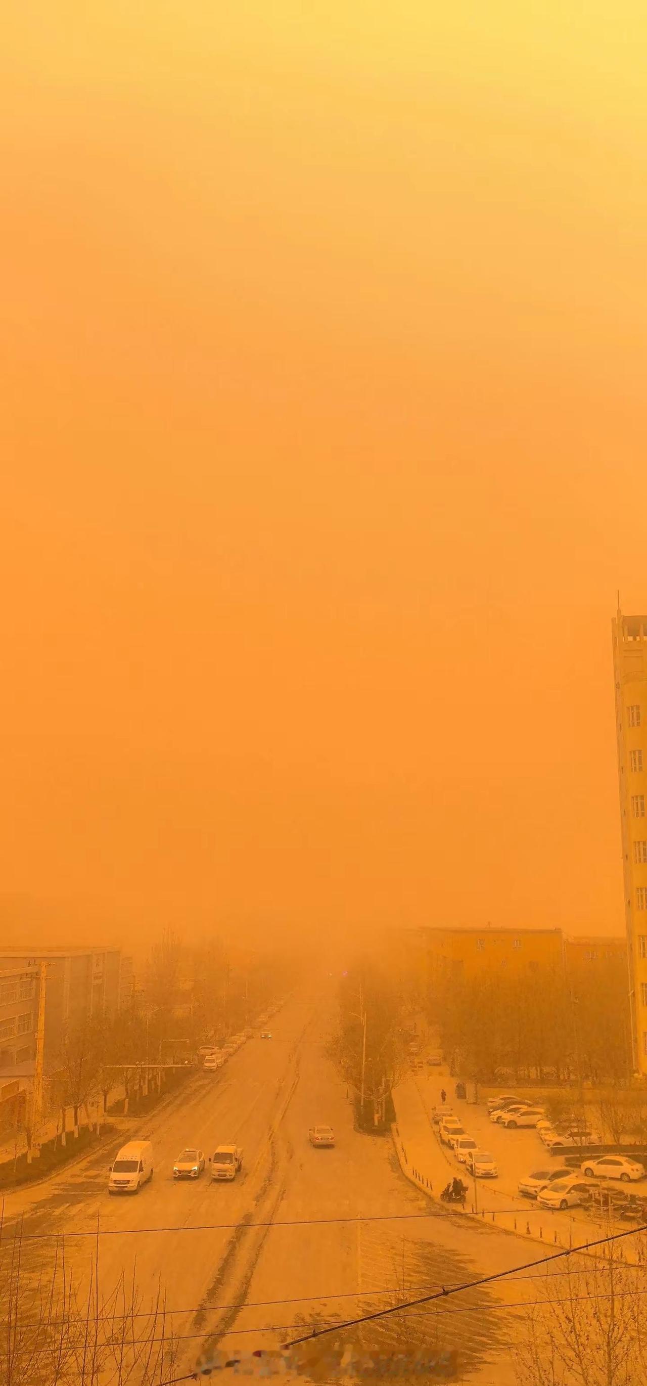 天气。总算逃离了新疆沙尘暴了。结果到了北京。柳絮又来了天气奇闻 我太难杀了😭