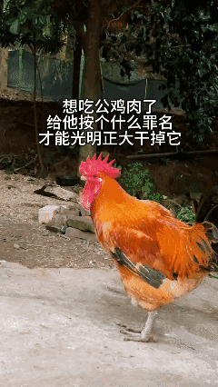 给它按个什么罪名
才能光明正大干掉它?[笑哭]