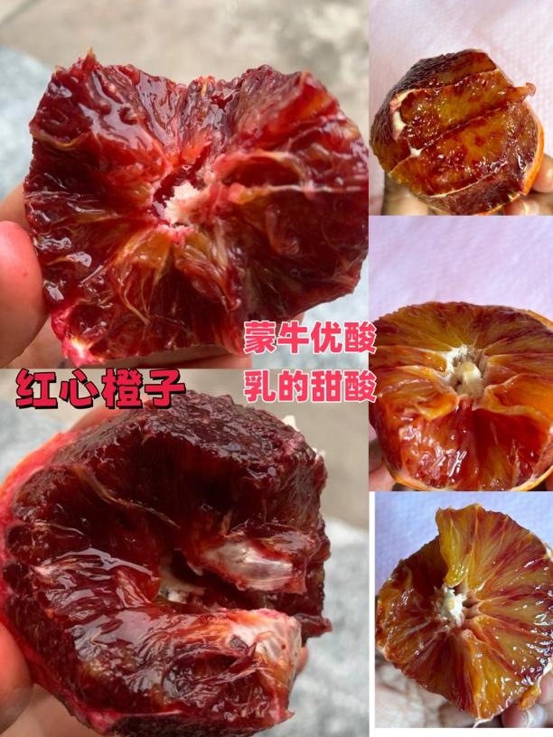 精选好物，品质有保证