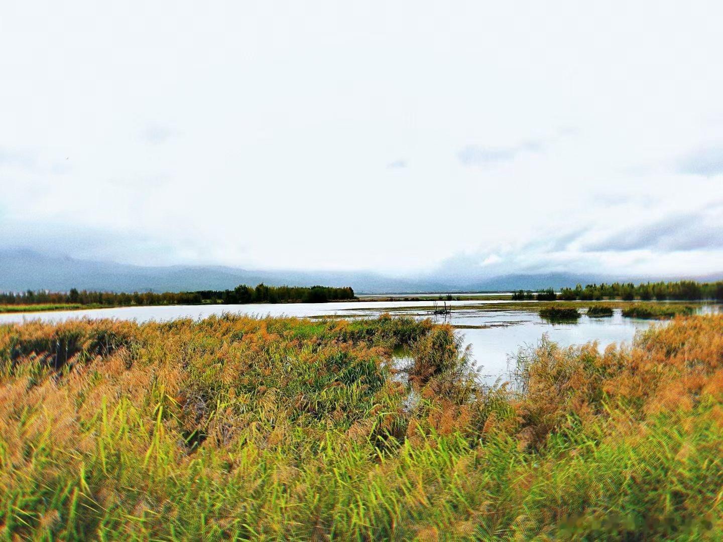 #可隆拍了拍你的焦虑##有故事才是自然的事#  #为什么上班容易偏头痛# 在内卷