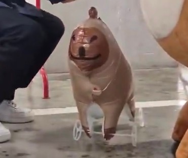 这啥啊笑死我了 