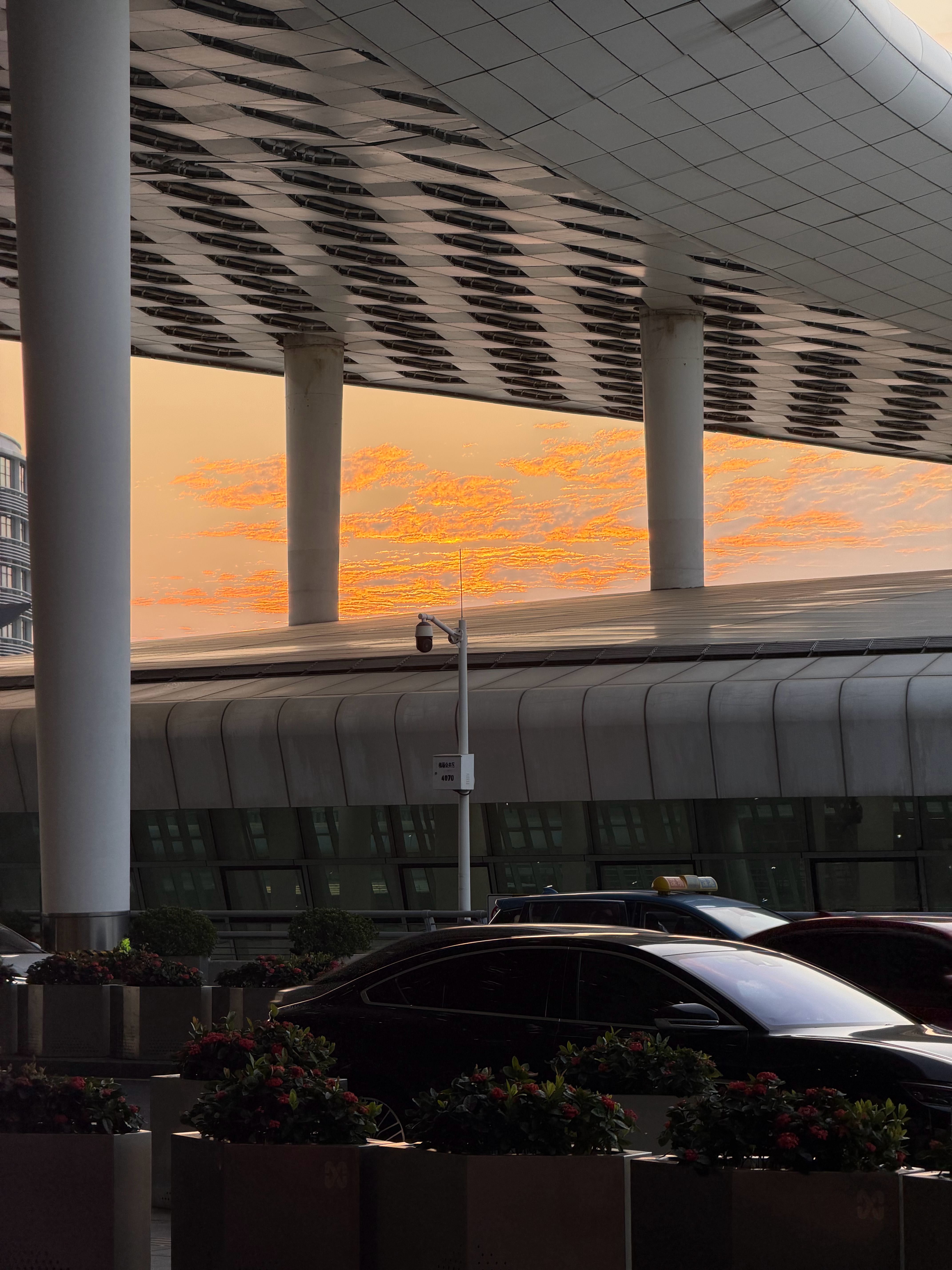 深航金卡就是好啊，随行人员都可以免费升舱，也能去贵宾厅