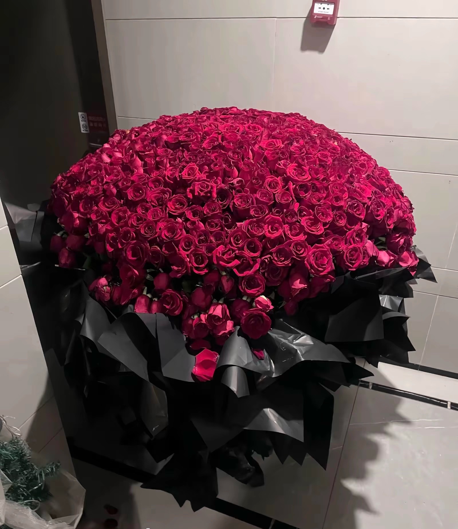 谁给我买花了 到付1800是想逼死我吗 