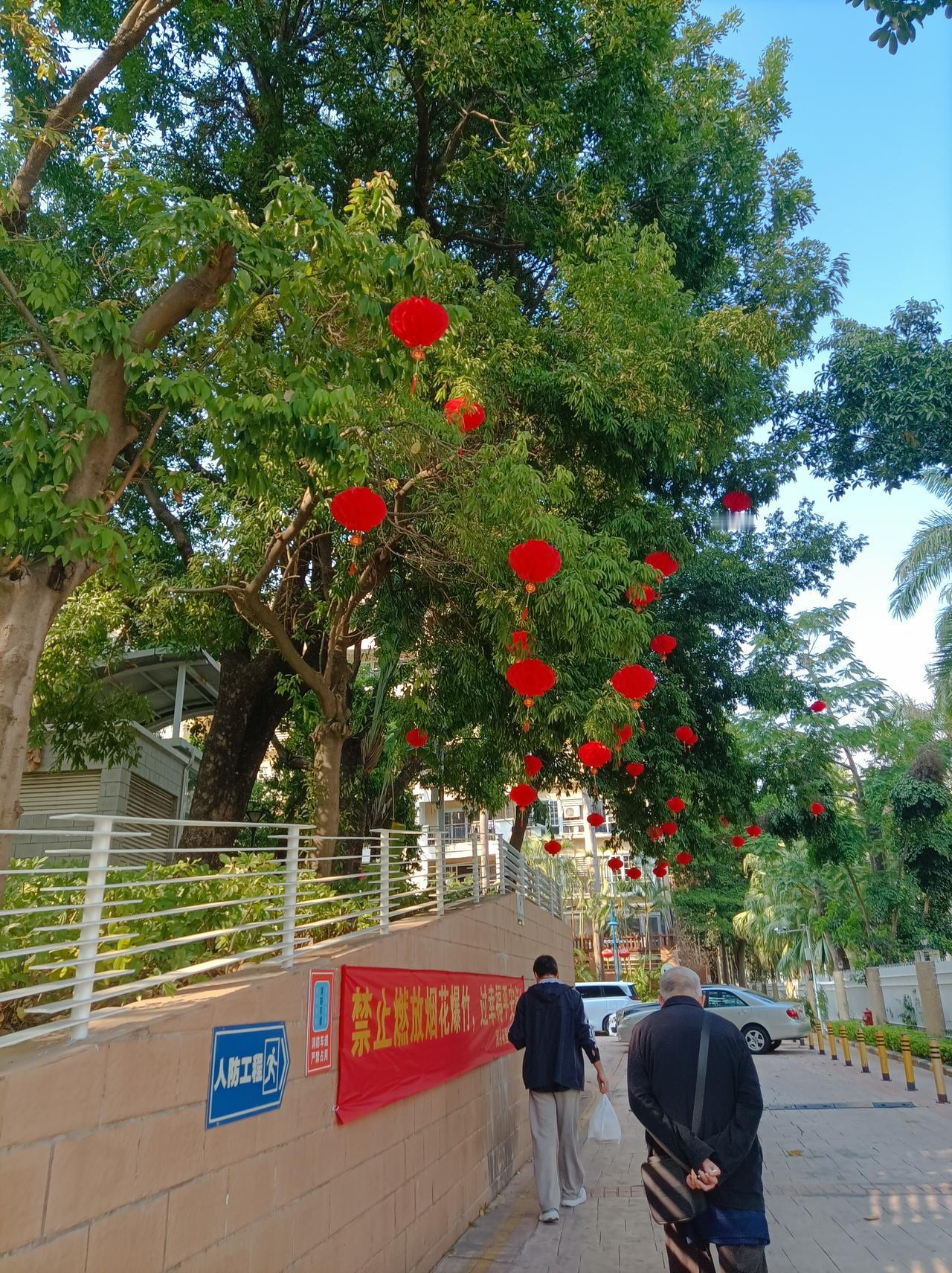 新年爱好打卡年快过完了，但新年的气氛还在，看到小区里掛着的大红灯笼，真是太喜庆了