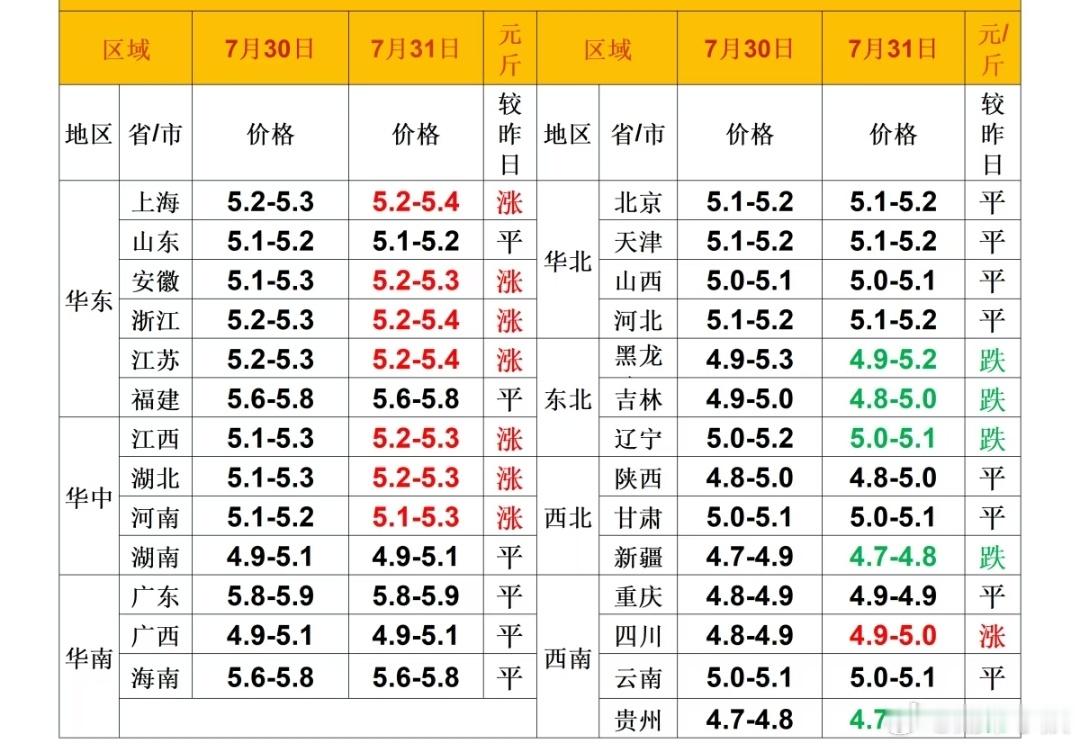每日猪价 