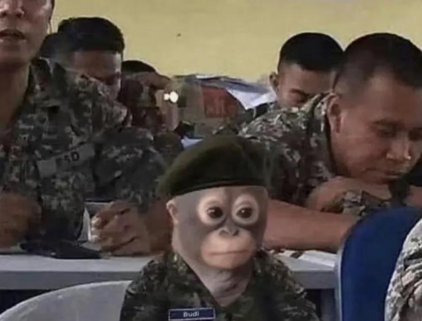 我们这届985/211是真的吃不上时代红利了吗?我本科的老师，本科一毕业就留本校