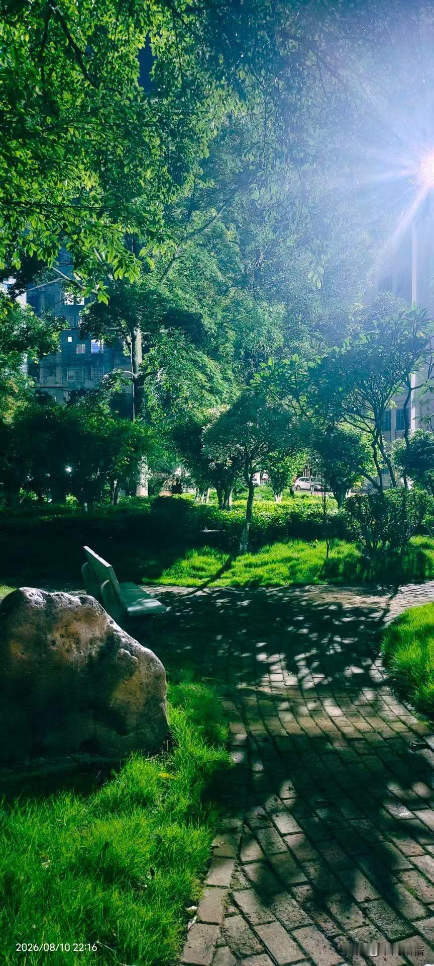 晚年最舒服的活法，就6个字
 
1、晃
 
拎个布袋子逛早市，不着急买啥，先从头