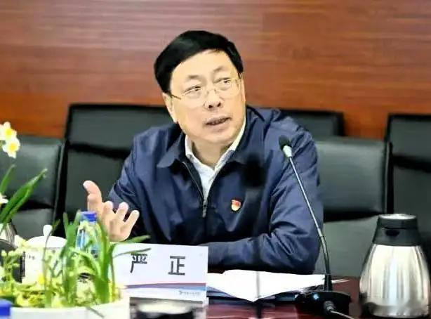 9月1日，中央纪委国家监委网站发布通报，福建省政协经济委员会原副主任严正涉嫌严重
